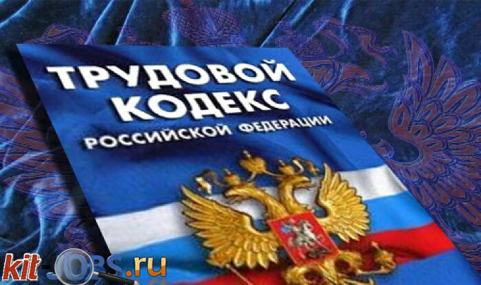 Трудовой кодекс Российской Федерации (ТК РФ) с комментариями и изменениями 2024